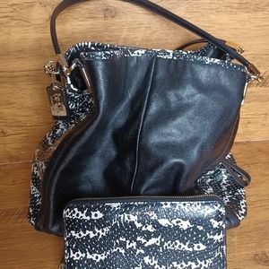 Coach Madison Two Tone Python Embossed Leather Phoebe & Python Coach Wallet